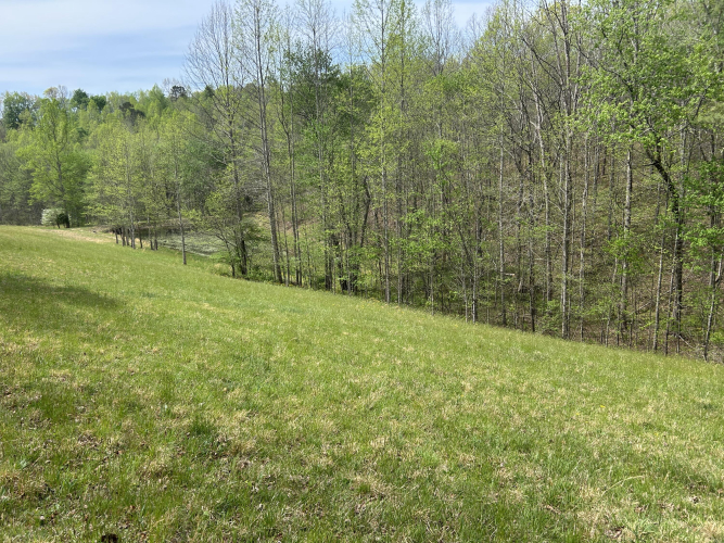 Listing Image 92