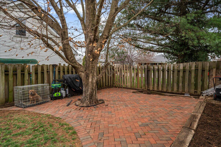 Listing Image 11