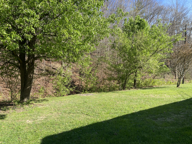 Listing Image 17