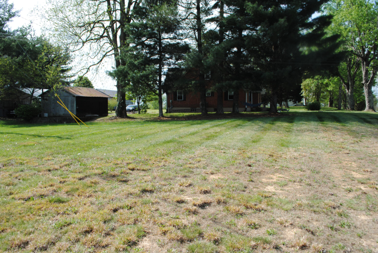 Listing Image 36
