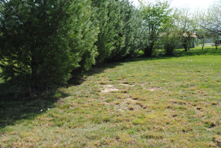 Listing Image 38