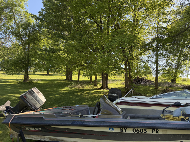 Listing Image 87