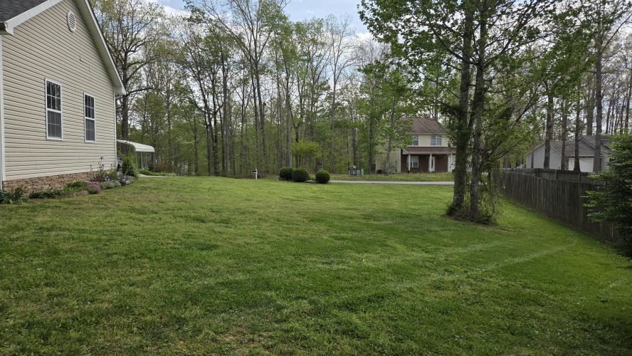 Listing Image 12