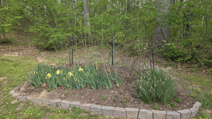 Listing Image 15