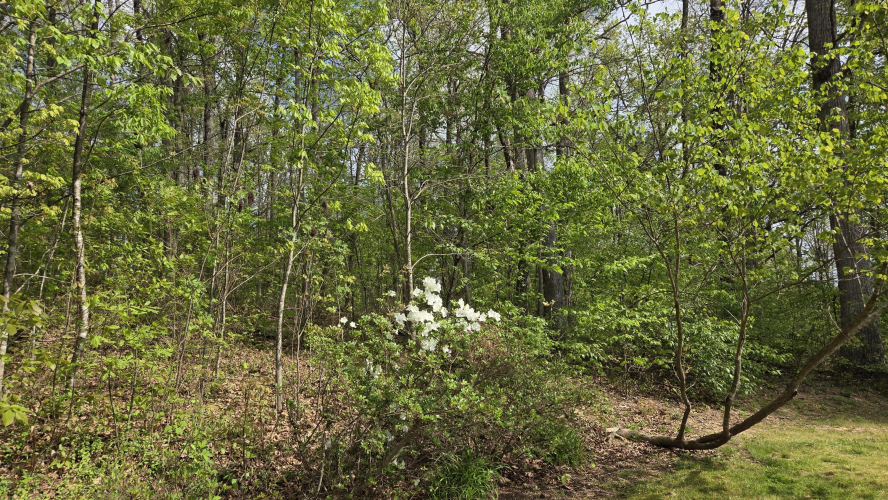 Listing Image 16