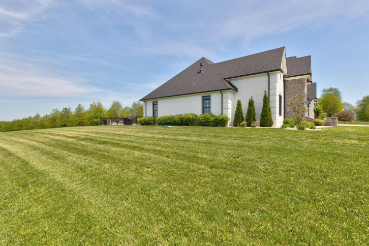 Listing Image 85