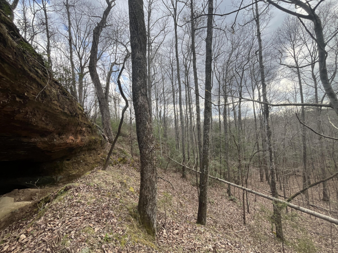 Listing Image 8