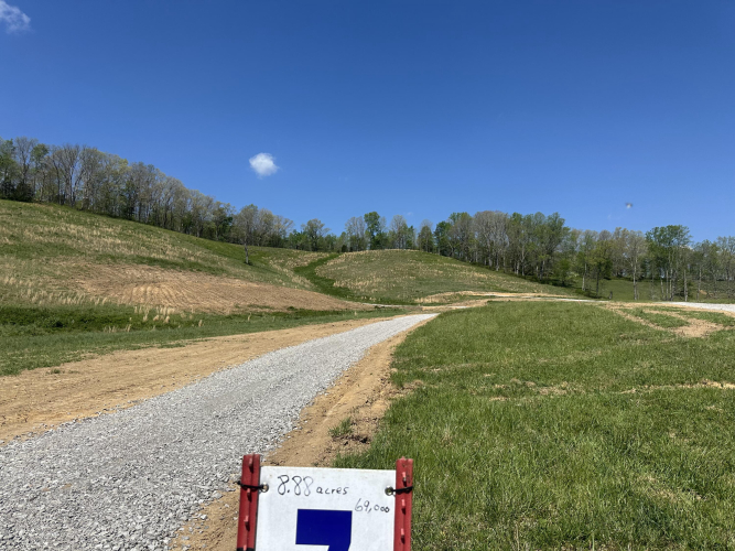 Listing Image 12