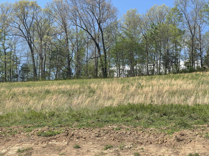 Listing Image 35