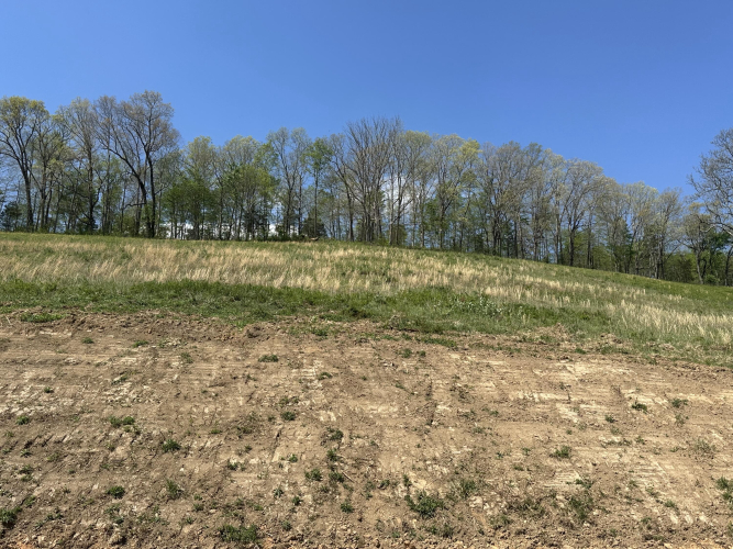 Listing Image 36