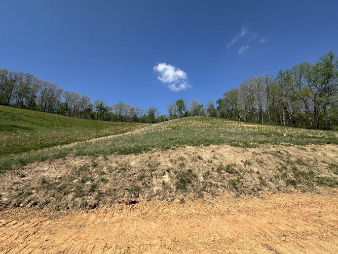 Listing Image 24