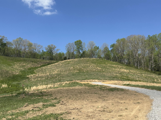 Listing Image 26