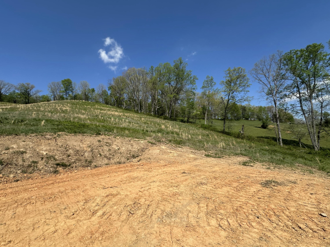 Listing Image 28