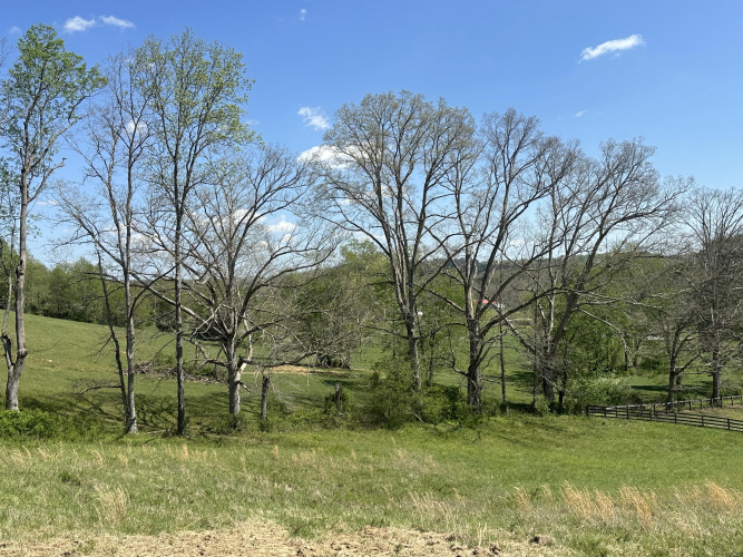 Listing Image 31