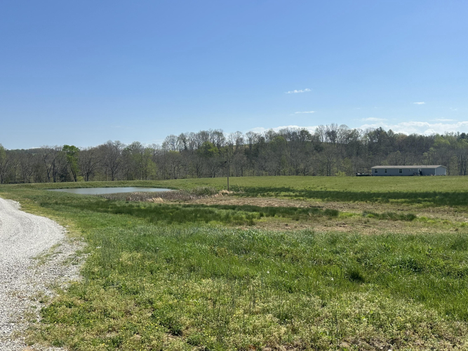 Listing Image 18