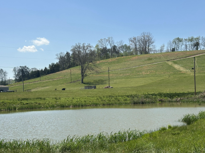 Listing Image 22