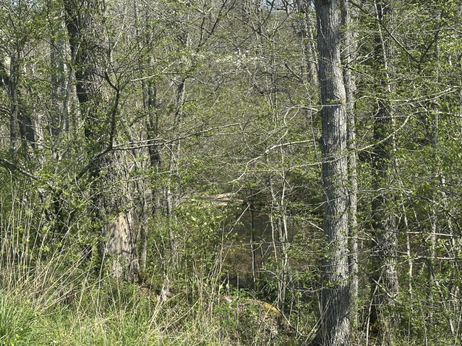 Listing Image 24