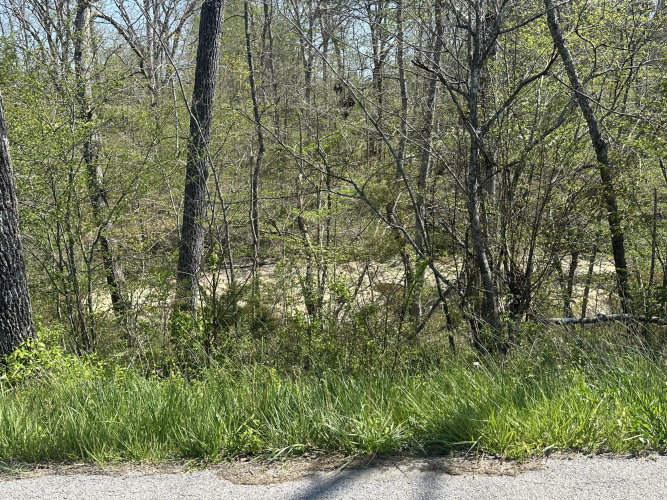 Listing Image 25