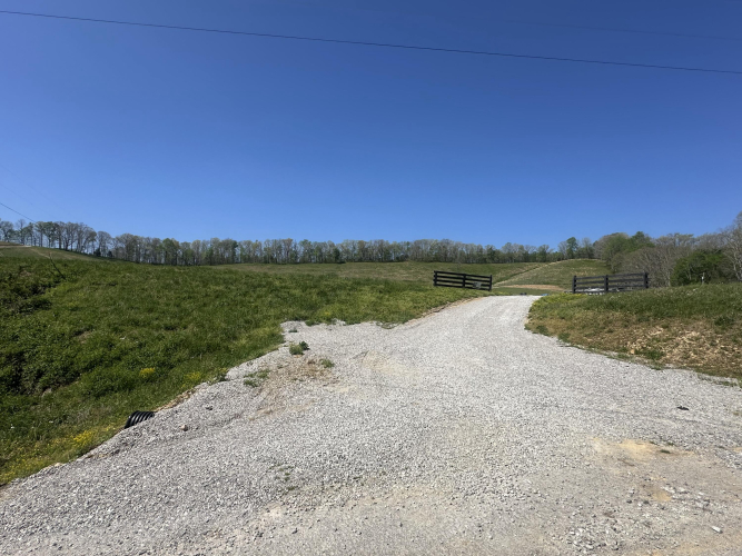 Listing Image 27