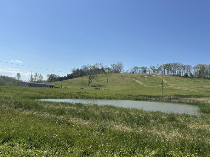 Listing Image 31
