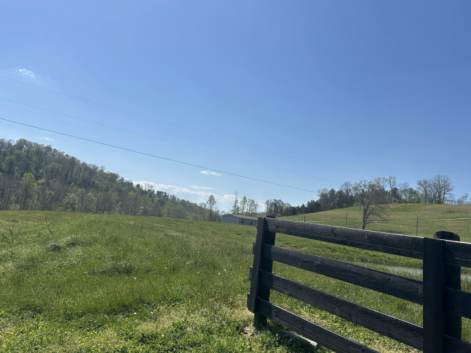 Listing Image 32