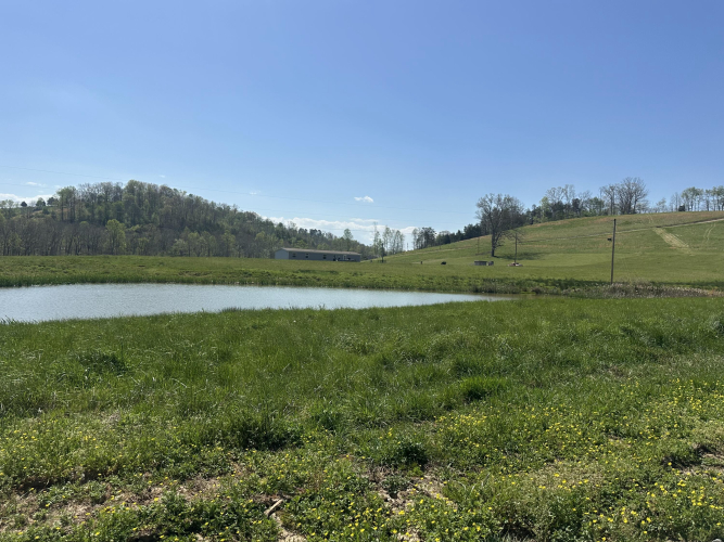 Listing Image 33