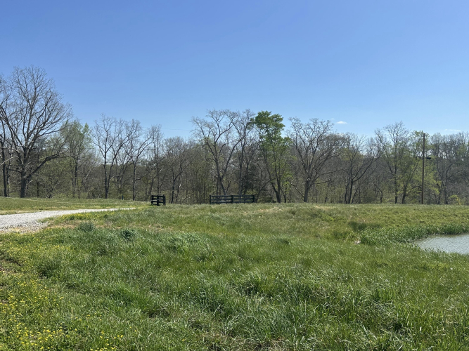 Listing Image 38