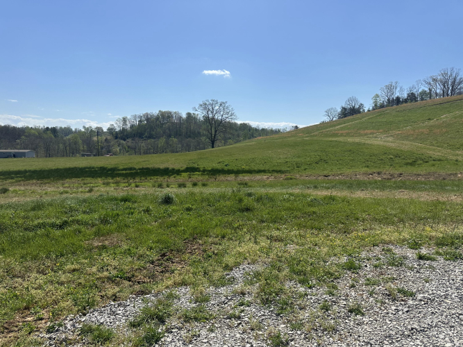 Listing Image 39