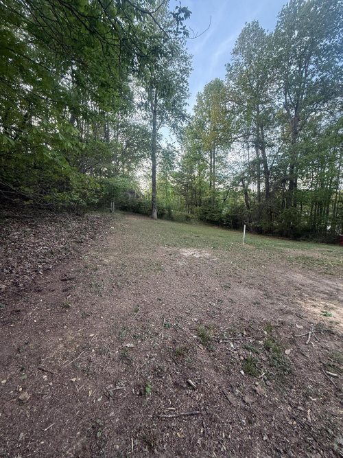Listing Image 32