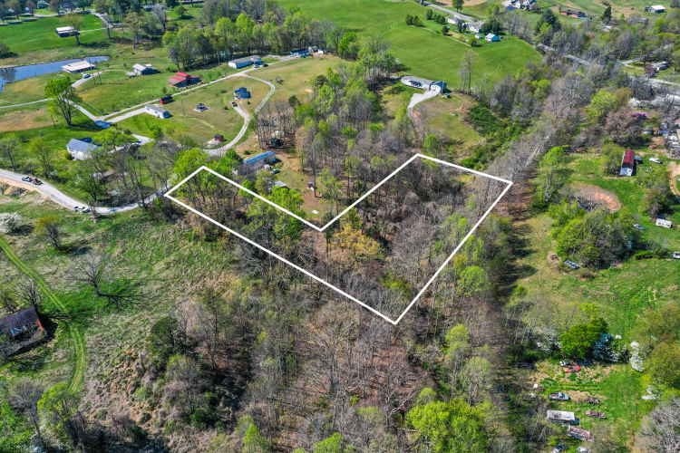 Listing Image 7