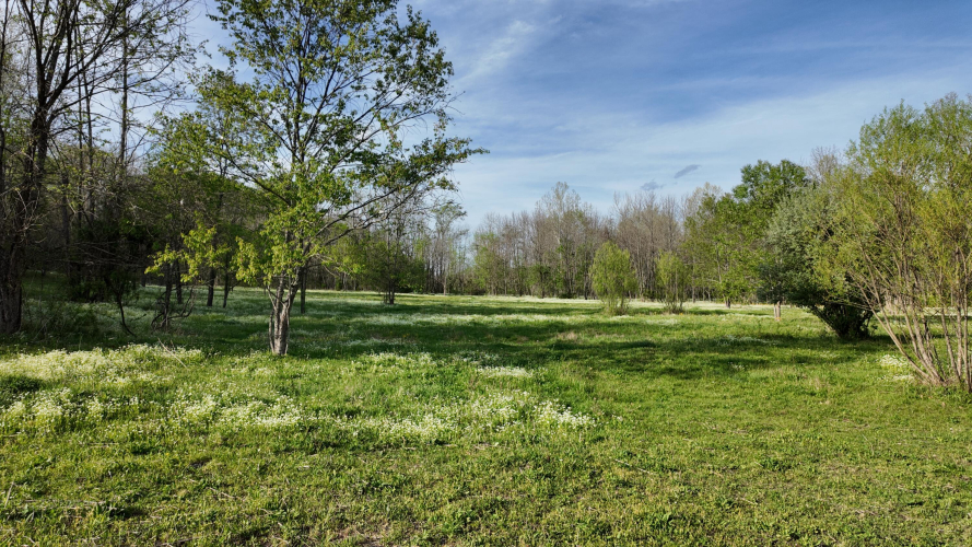Listing Image 65