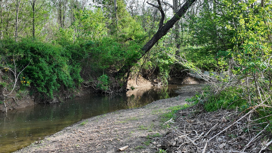 Listing Image 67