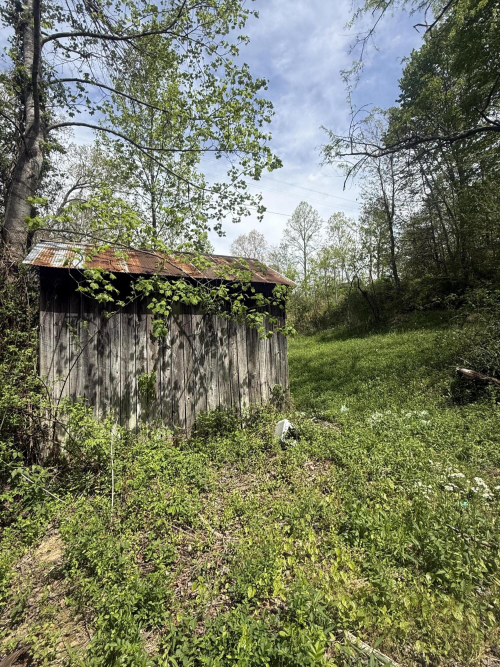 Listing Image 11