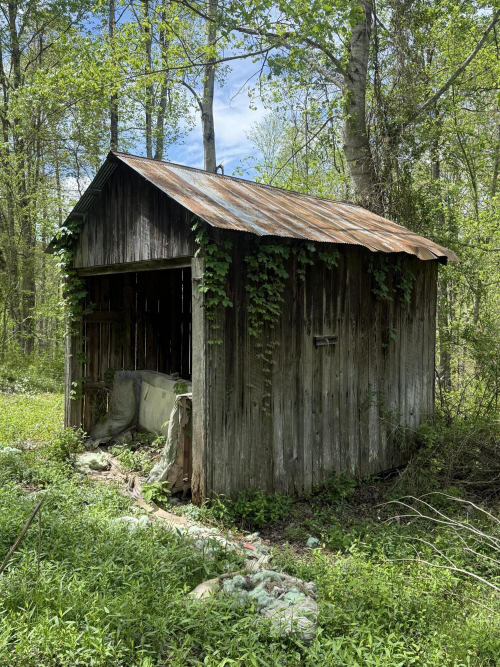 Listing Image 12