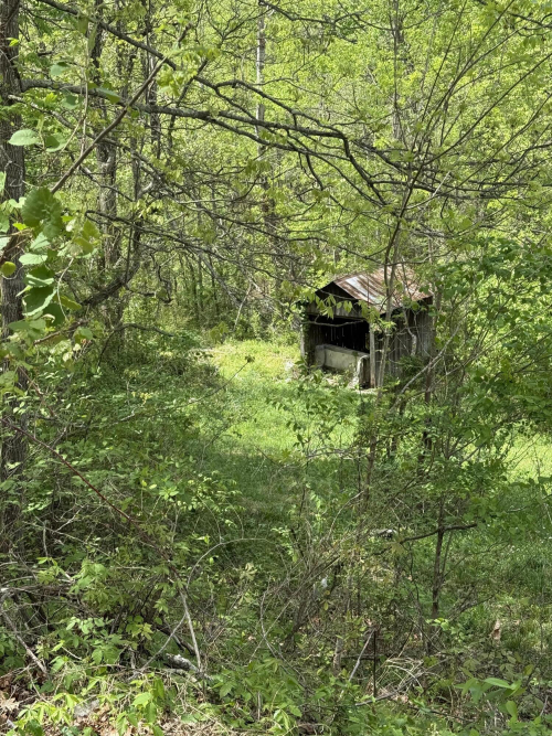 Listing Image 13