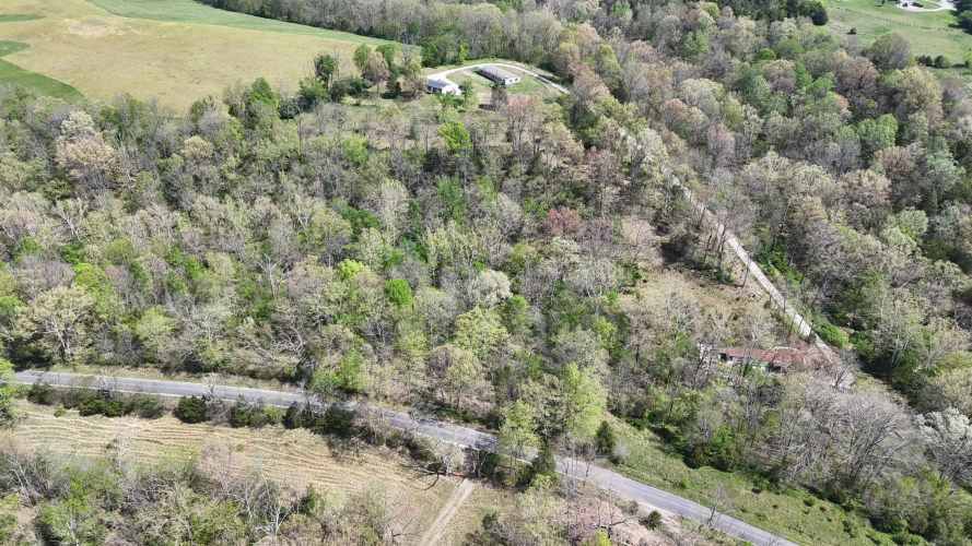 Listing Image 38