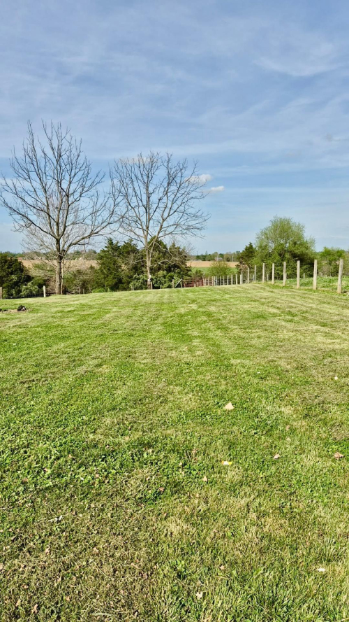 Listing Image 28