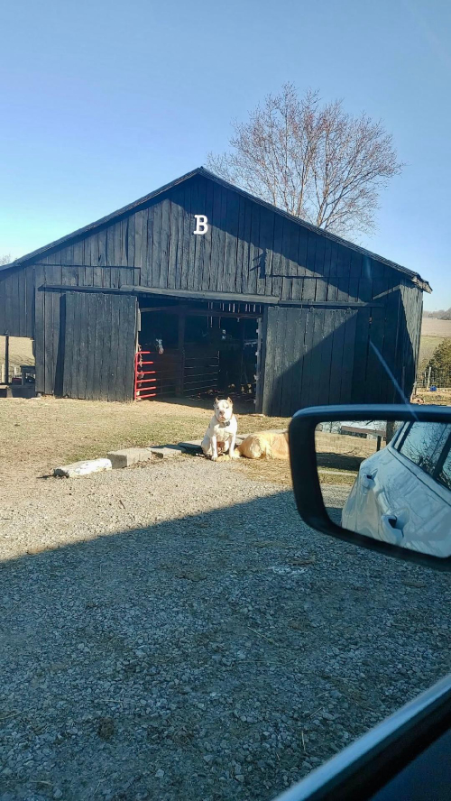 Listing Image 32
