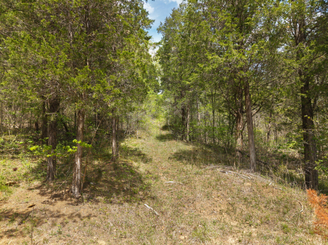 Listing Image 37