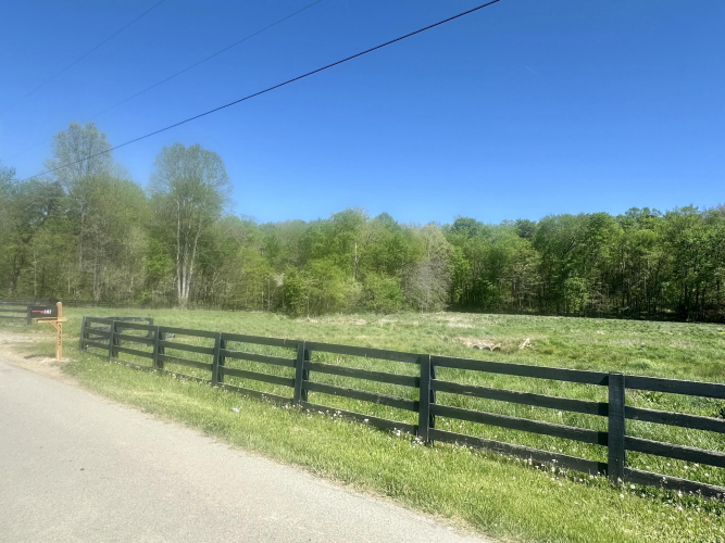Listing Image 22