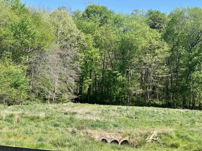 Listing Image 23