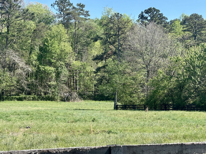 Listing Image 26