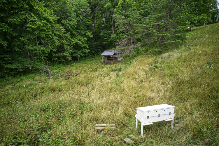 Listing Image 25