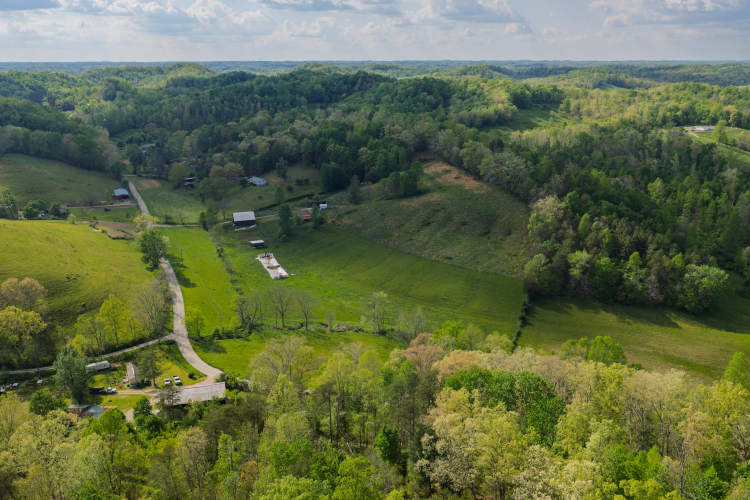 Listing Image 29