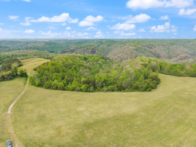 Listing Image 13