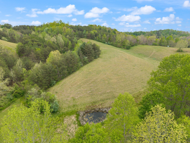 Listing Image 42