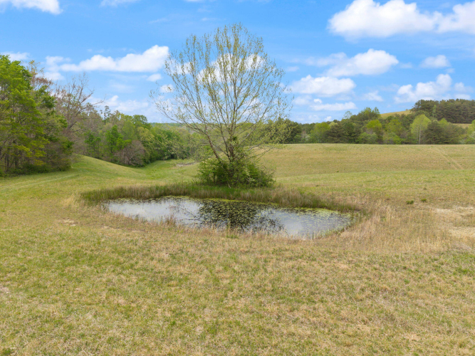 Listing Image 45