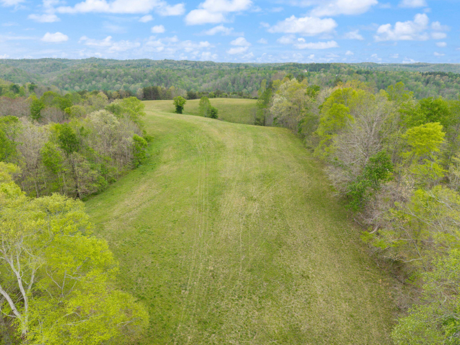 Listing Image 51