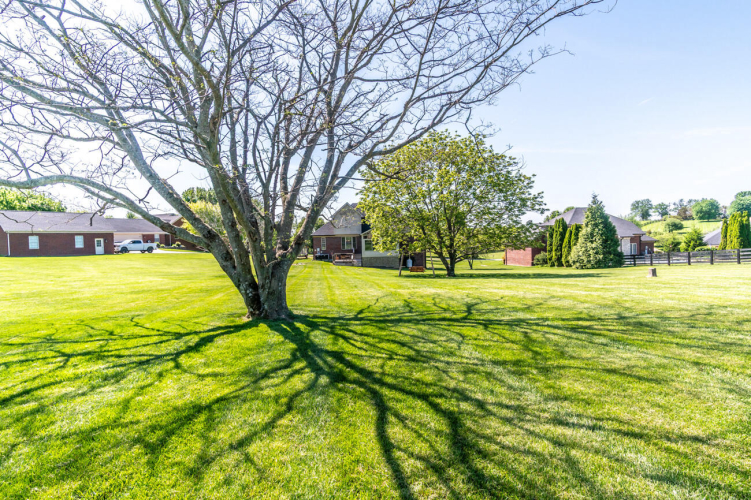 Listing Image 50