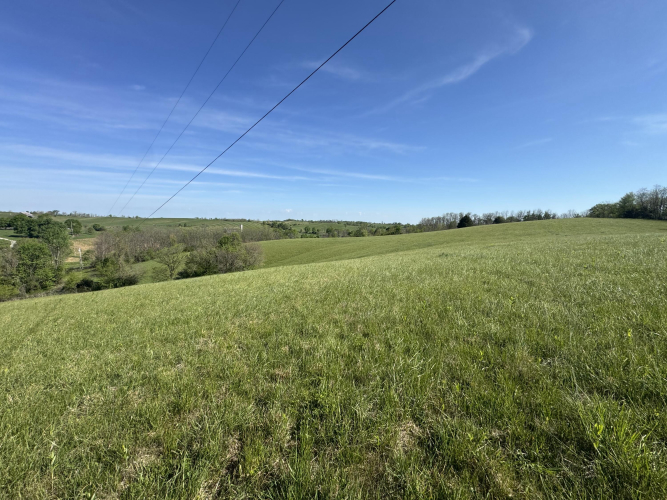 Listing Image 16
